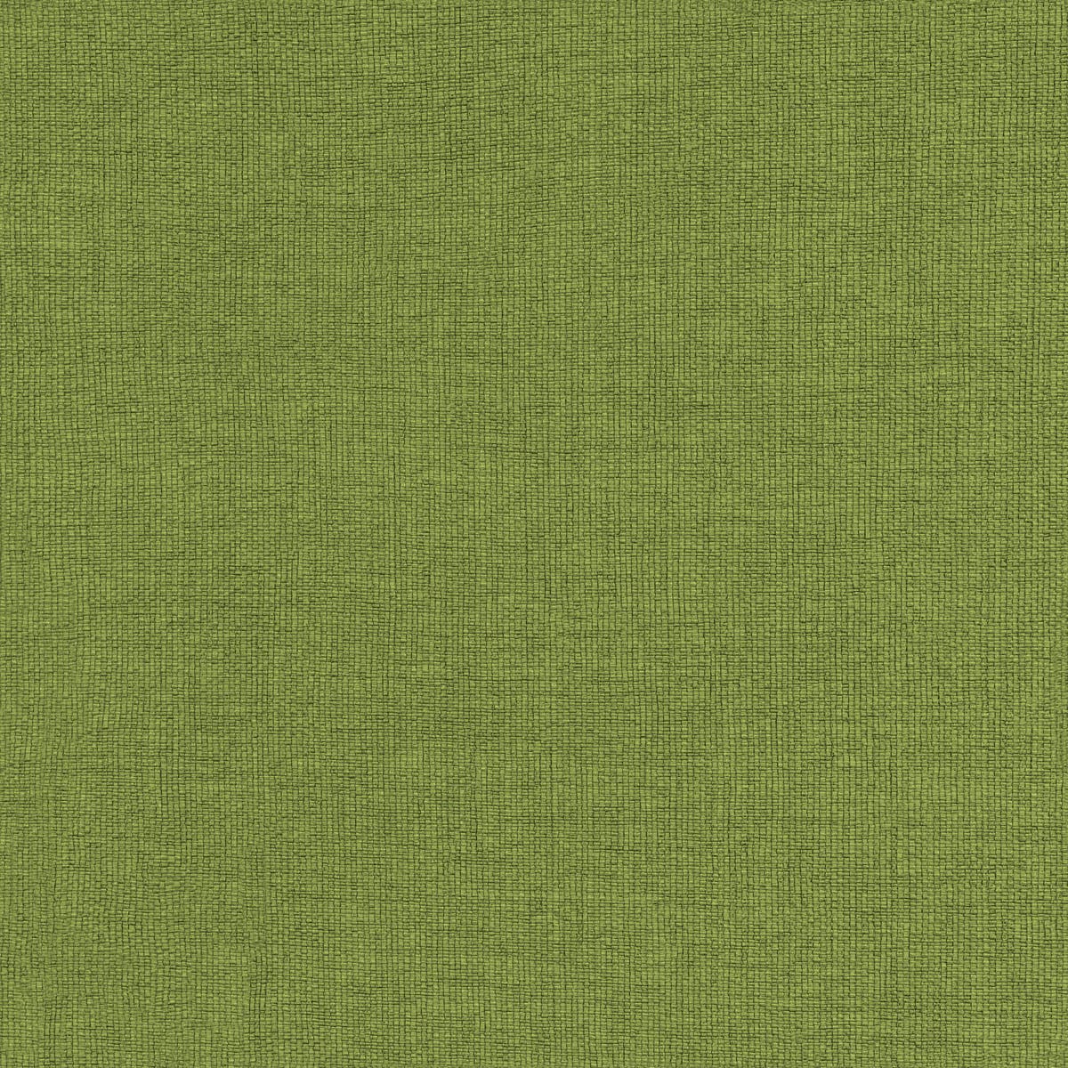 Rubelli Ralph fabric - Erba