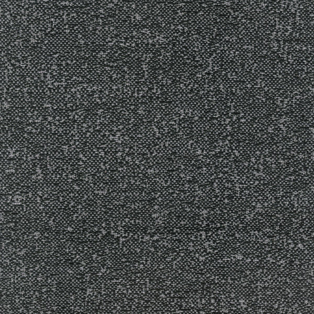 Rubelli Fabthirty fabric - Antracite
