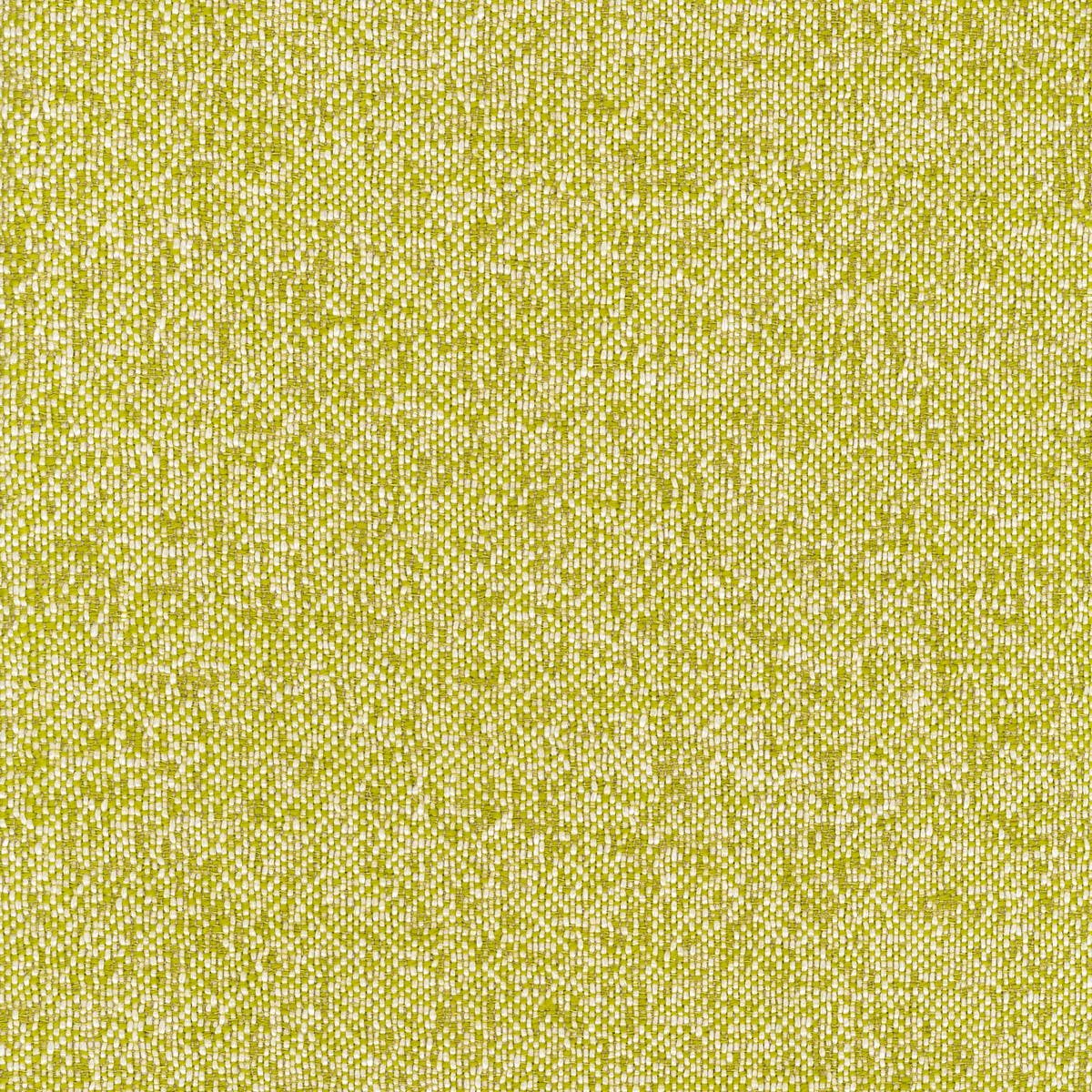 Rubelli Fabthirty fabric - Alga
