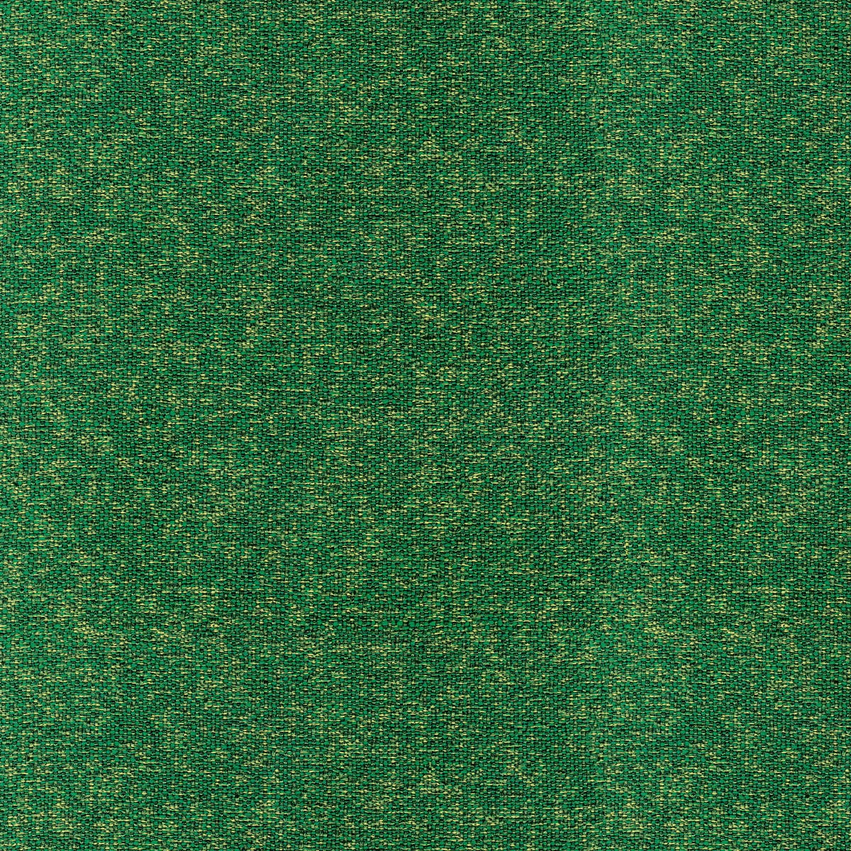Rubelli Fabthirty fabric - Verde