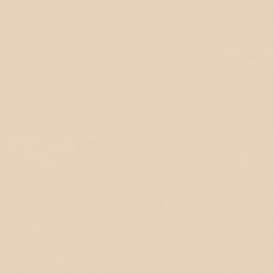 Rubelli Velvetforty fabric - Avorio