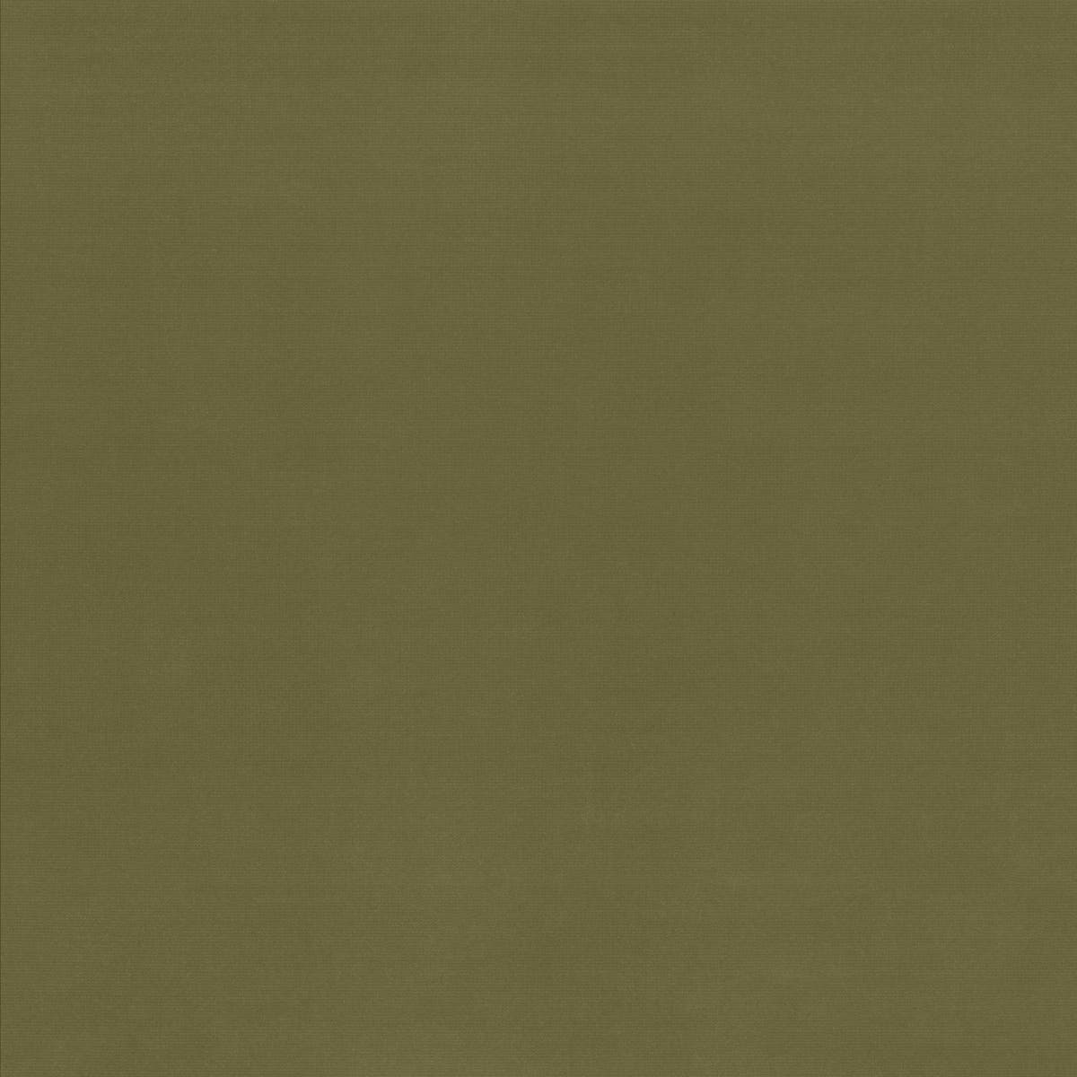 Rubelli Velvetforty fabric - Lichene