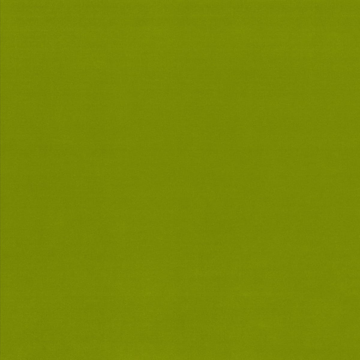 Rubelli Velvetforty fabric - Erba