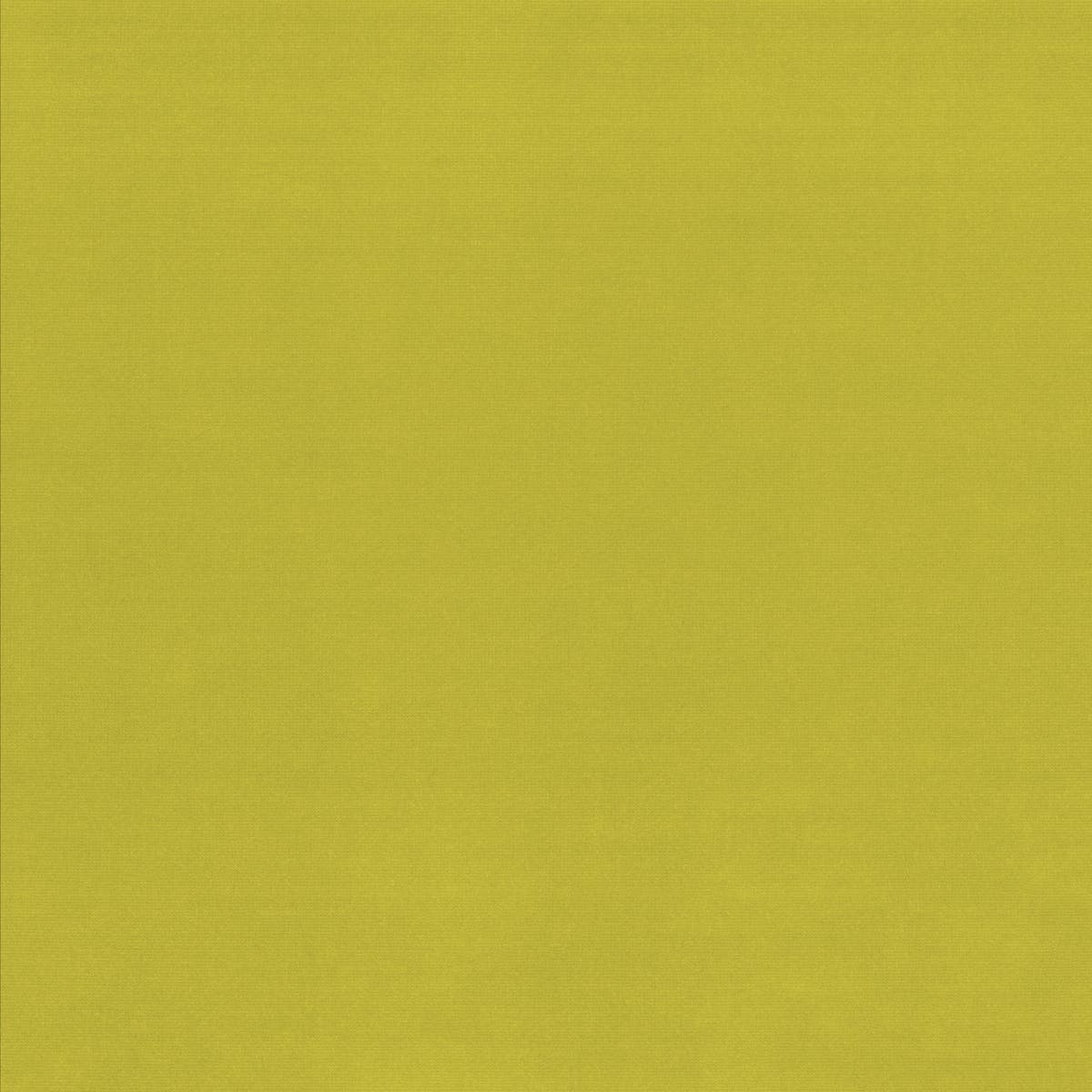 Rubelli Velvetforty fabric - Chartreuse