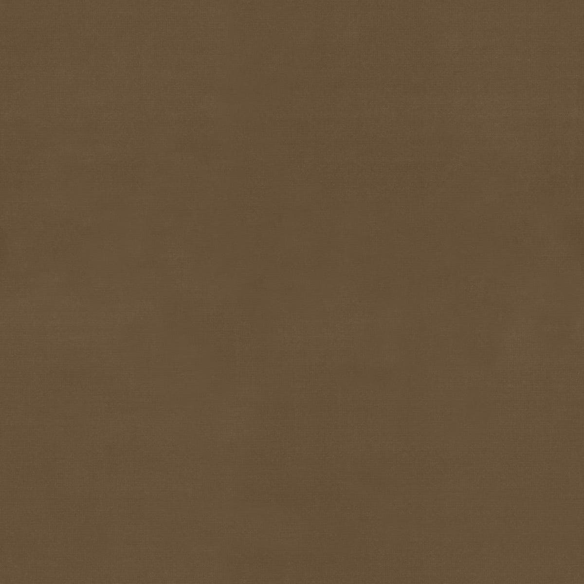 Rubelli Velvetforty fabric - Visone