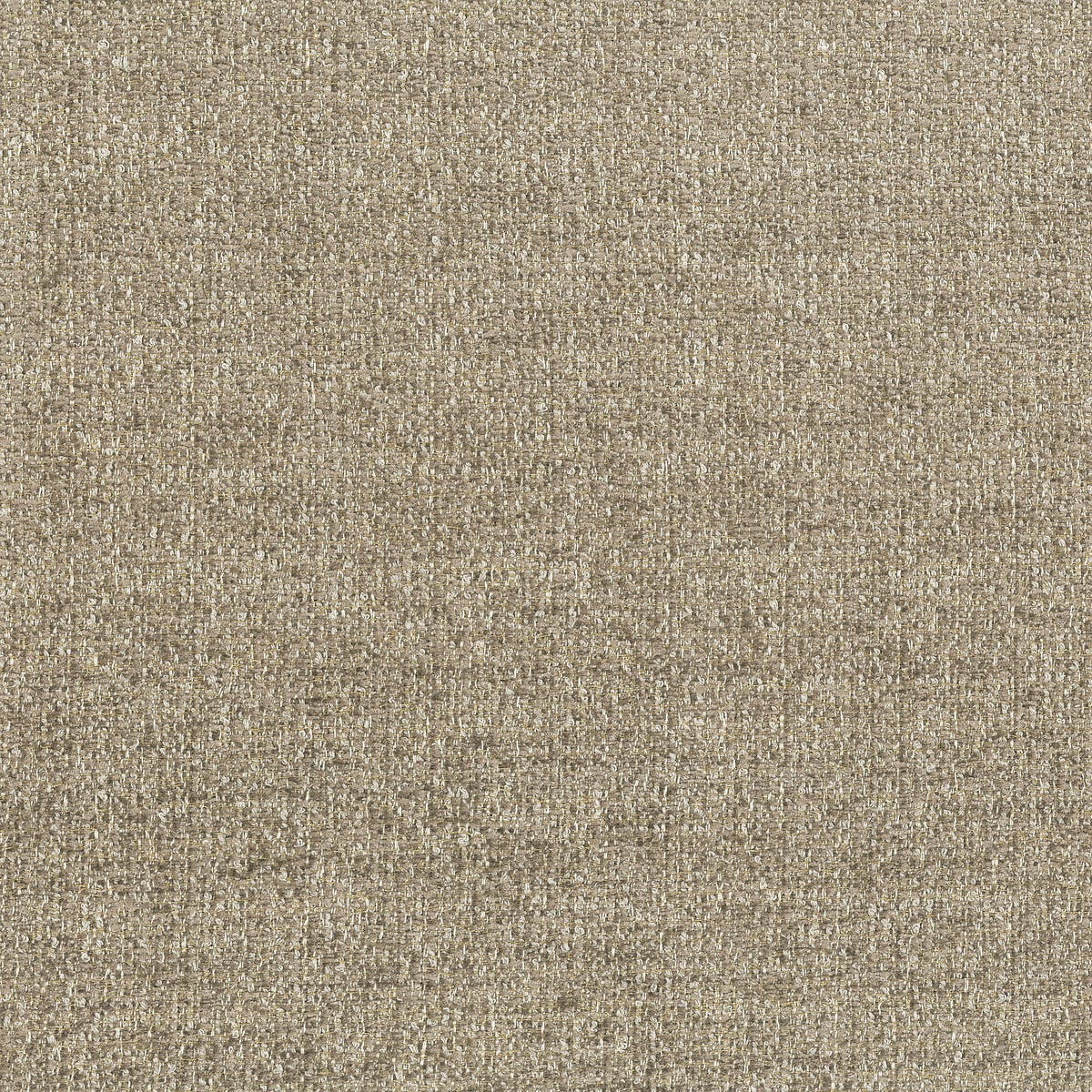 Rubelli Velvety fabric - Argilla