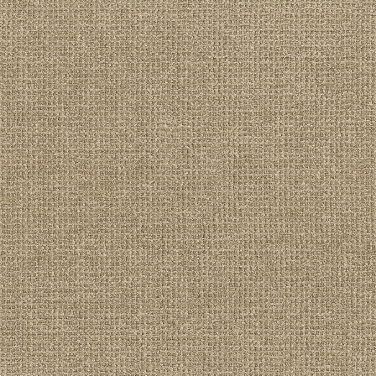 Rubelli Terry fabric - Sabbia