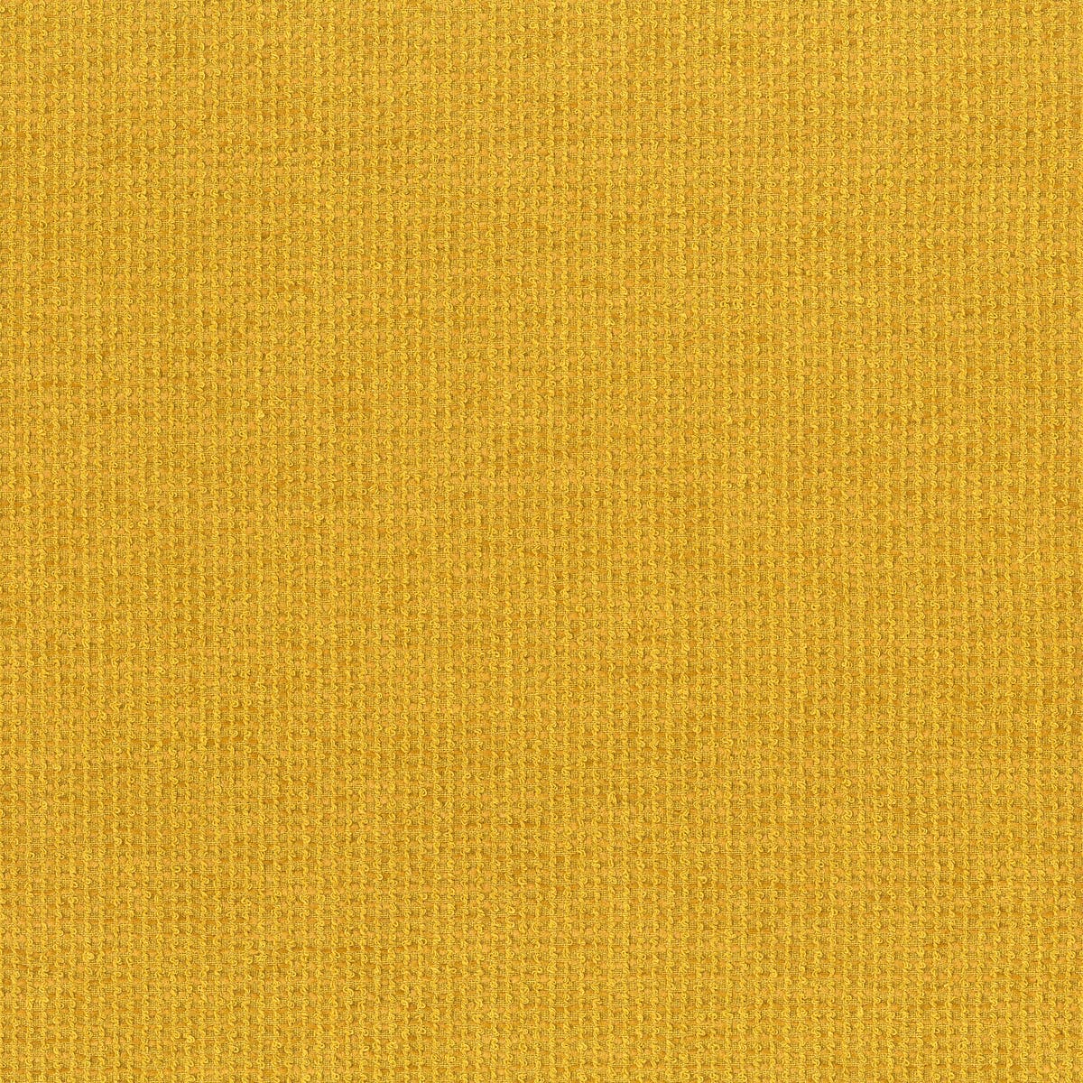 Rubelli Terry fabric - Giallo