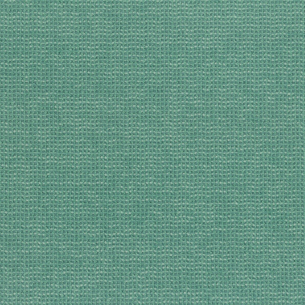Rubelli Terry fabric - Assenzio