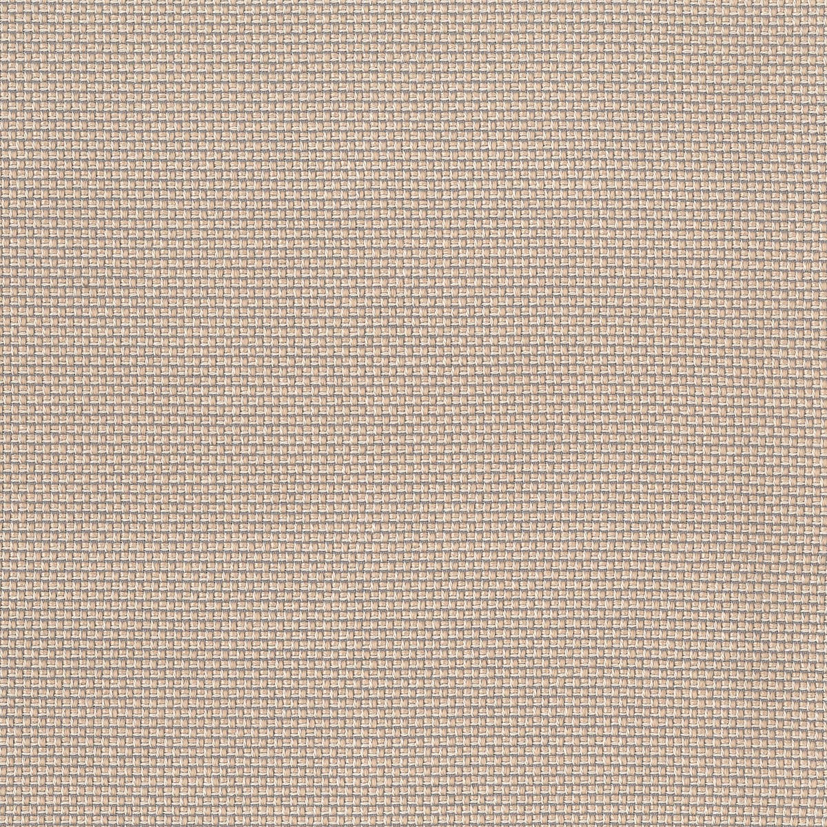 Rubelli Intreccio fabric - Nude