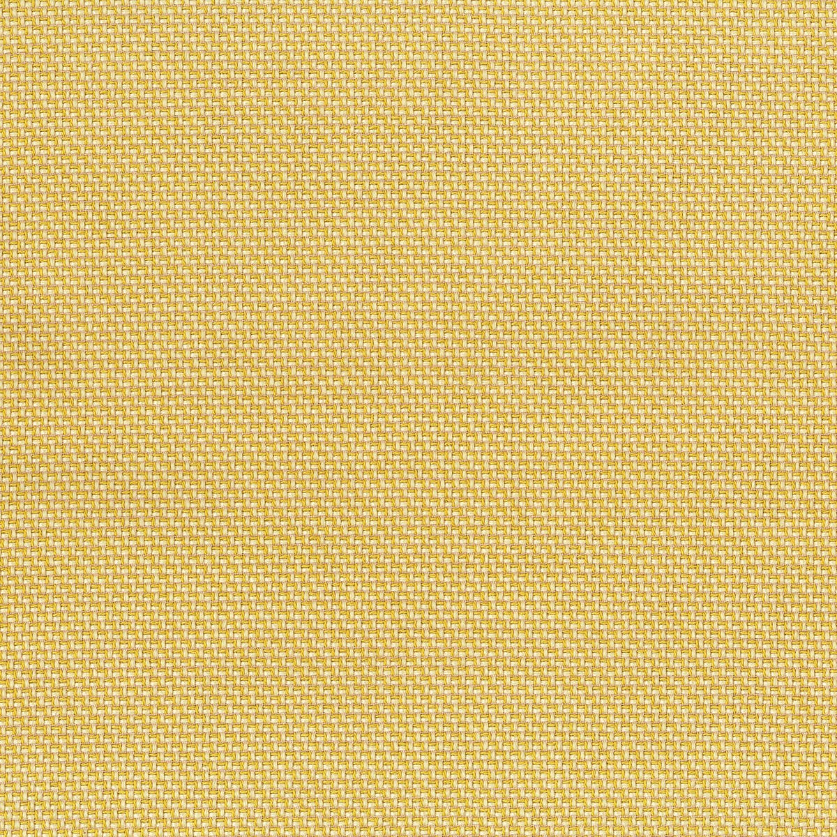Rubelli Intreccio fabric - Giallo
