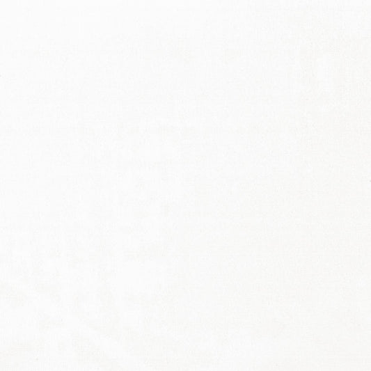 Rubelli Alba fabric - Bianco