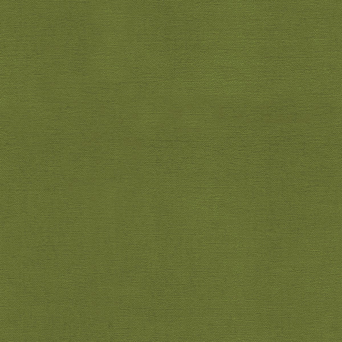 Rubelli Nap fabric - Oliva