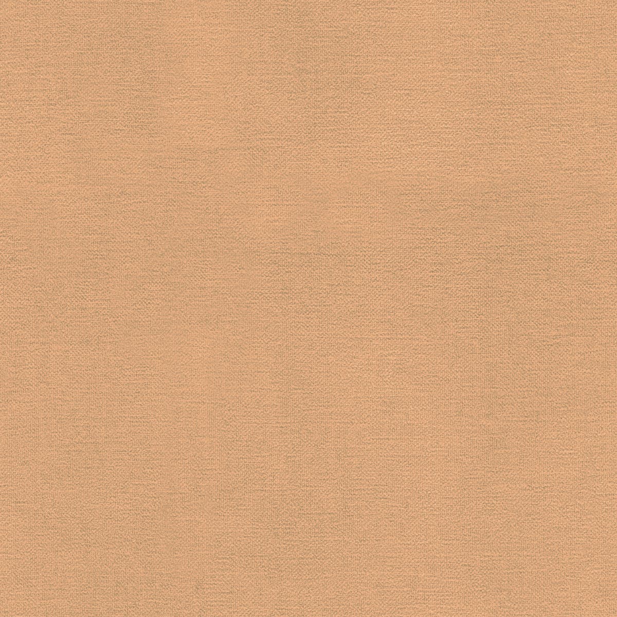 Rubelli Nap fabric - Nude