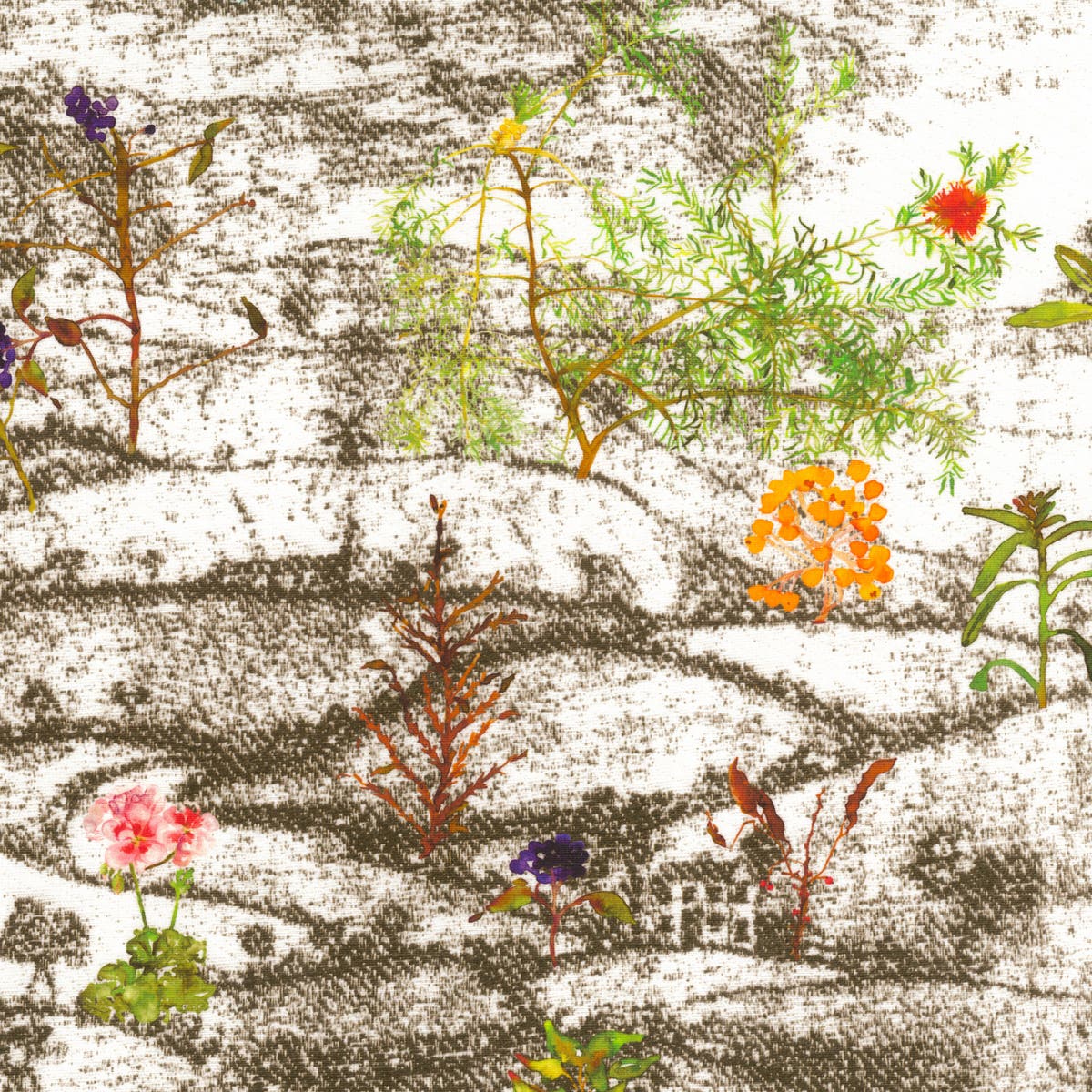 Rubelli Derbyshire Spring fabric - Sepia