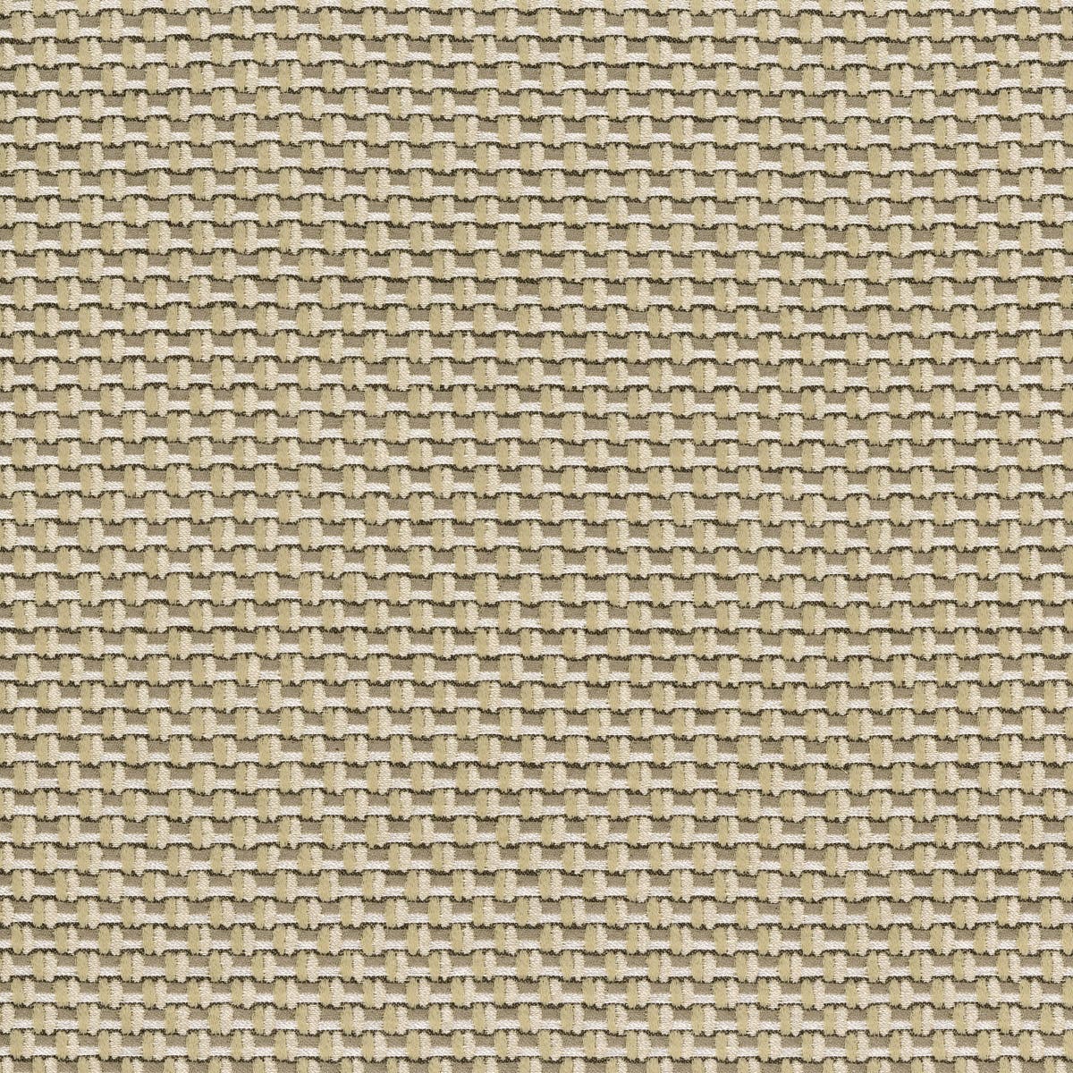 Rubelli Nexus fabric - Paglia