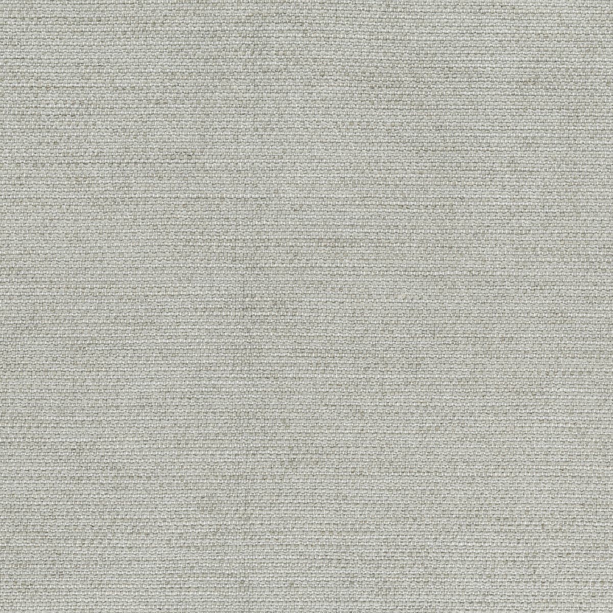 Rubelli Incipit fabric - Alluminio