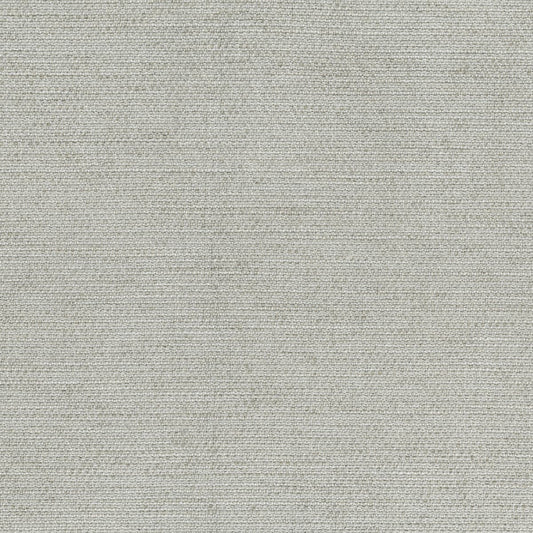 Rubelli Incipit fabric - Alluminio