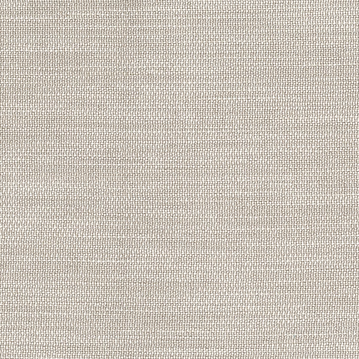 Rubelli Incipit fabric - Naturale