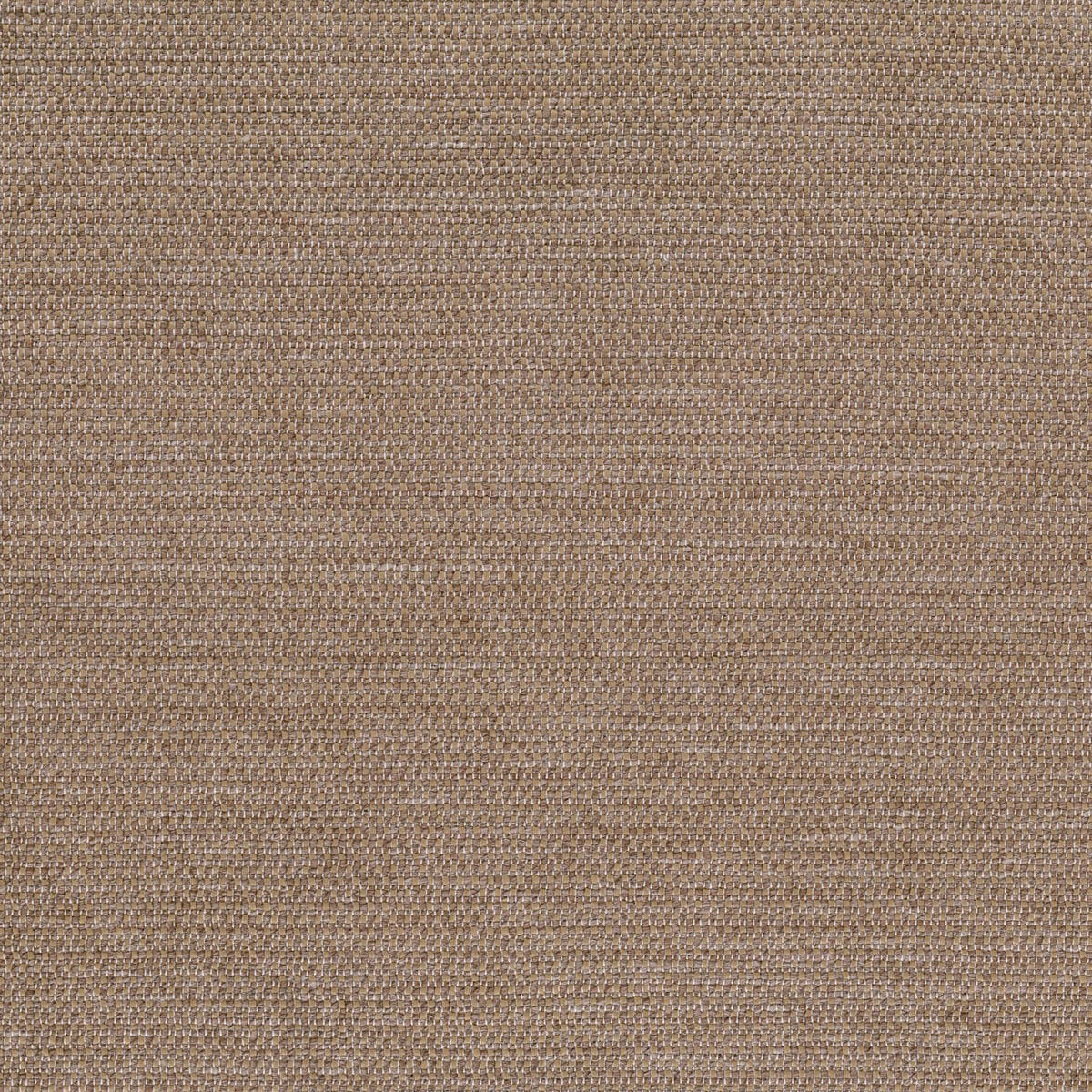 Rubelli Incipit fabric - Legno