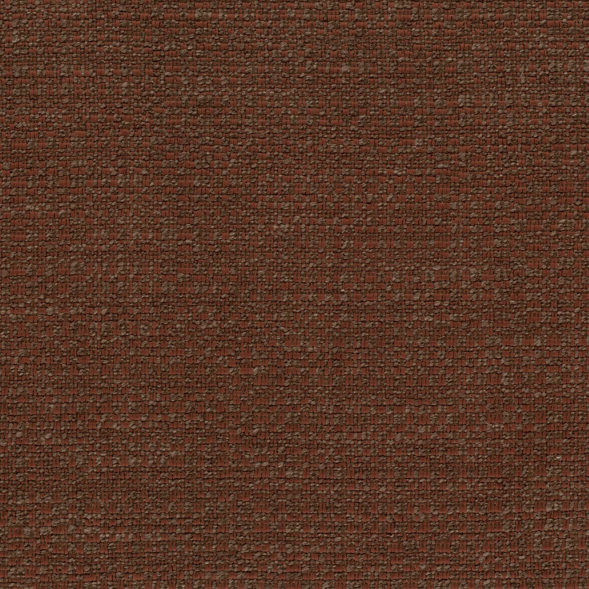 Rubelli Rerum fabric - Marrone