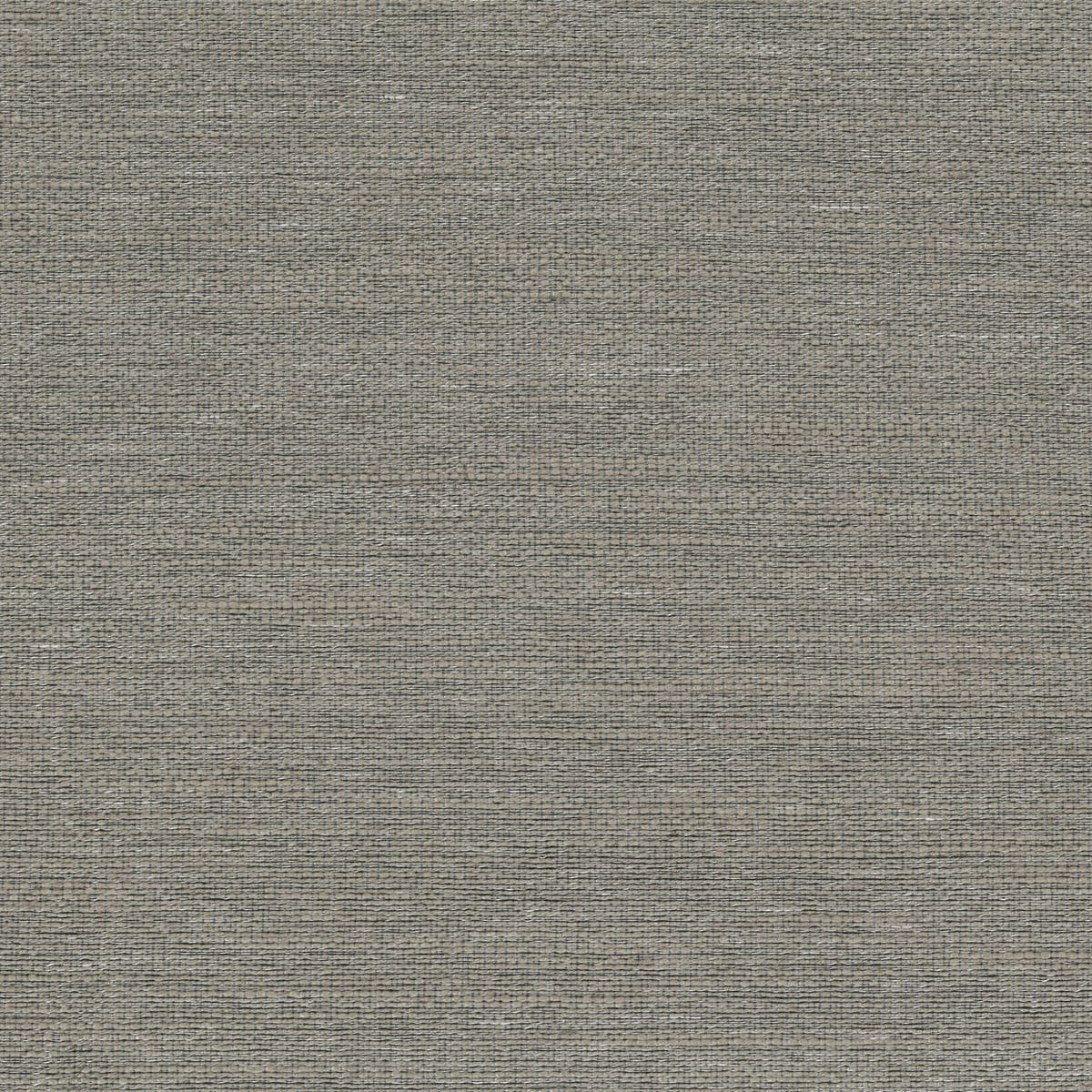 Rubelli Mundus fabric - Grigio