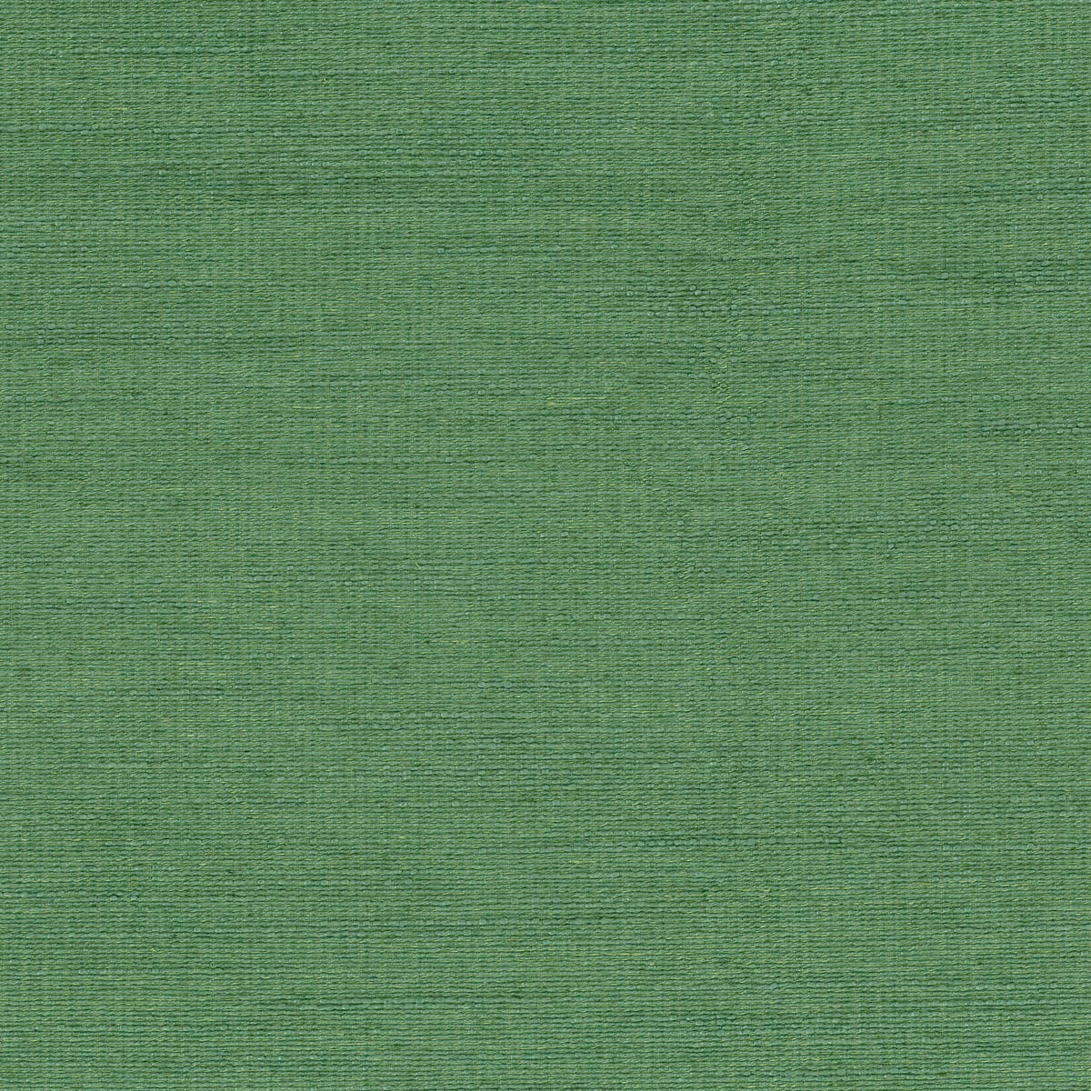 Rubelli Mundus fabric - Erba