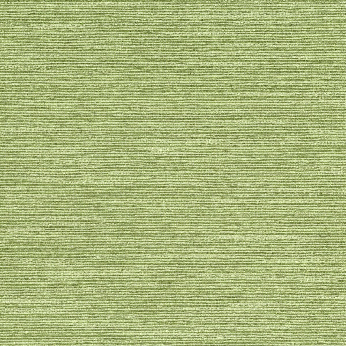 Rubelli Mundus fabric - Tiglio