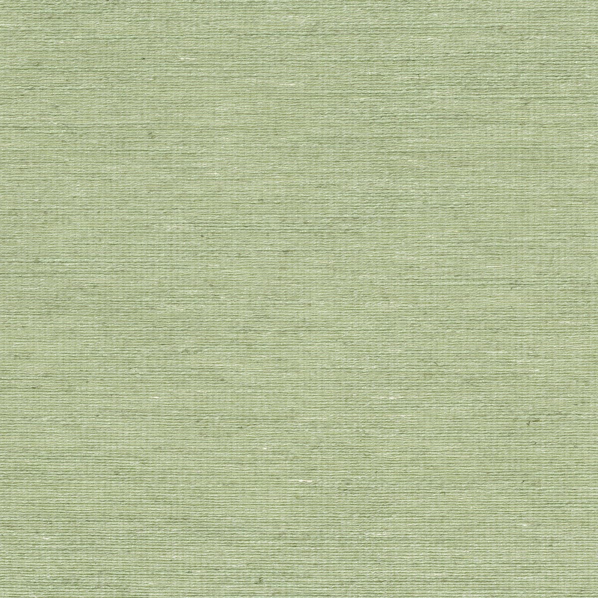 Rubelli Mundus fabric - Salvia