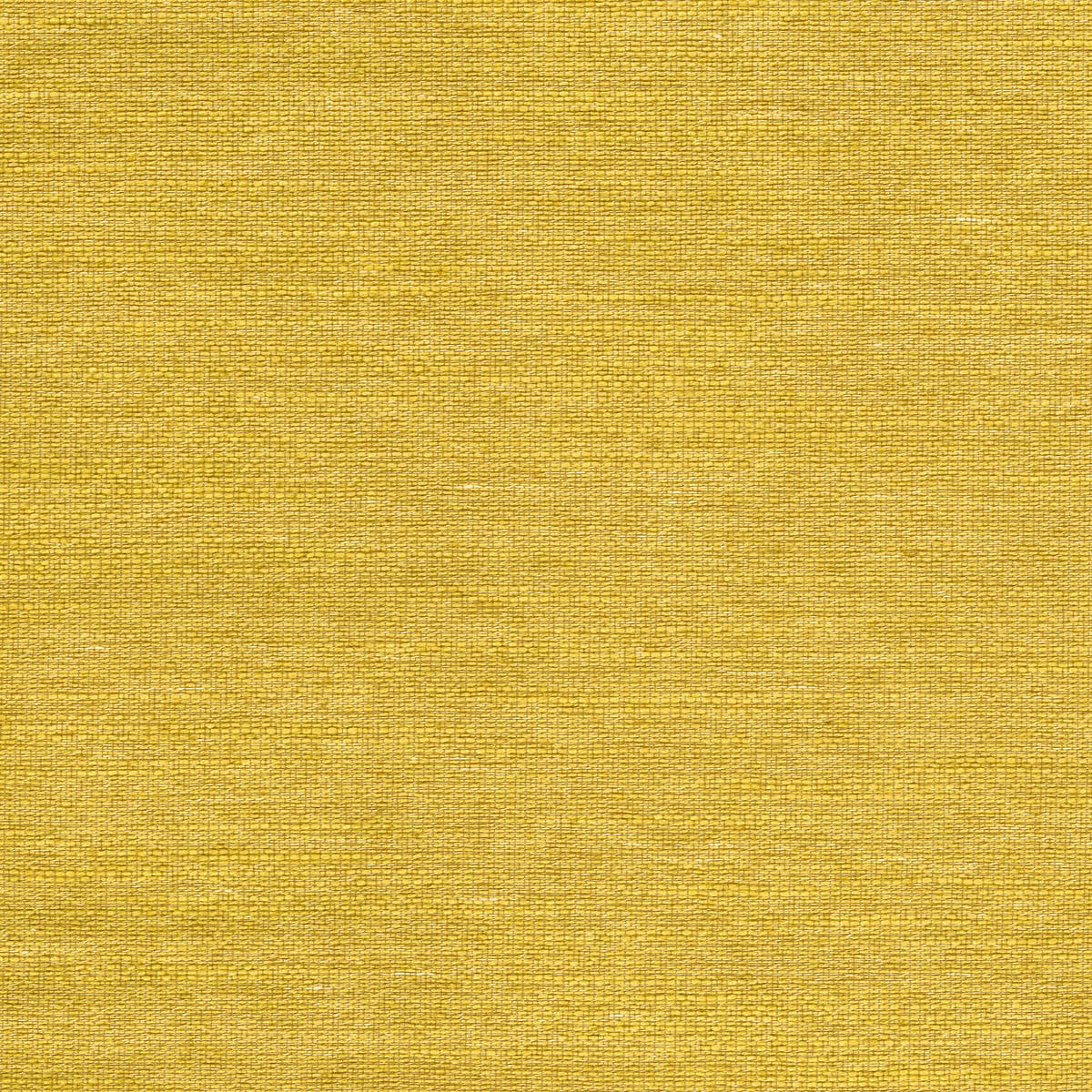 Rubelli Mundus fabric - Giallo