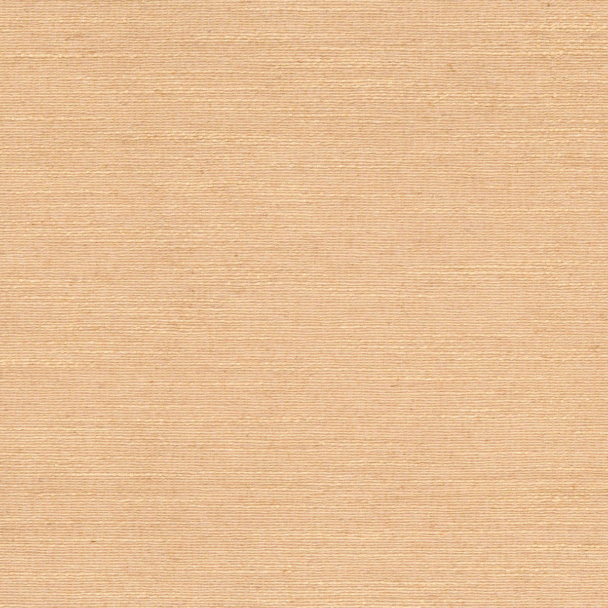 Rubelli Mundus fabric - Nude