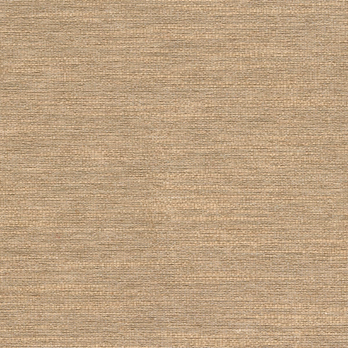 Rubelli Mundus fabric - Orzo