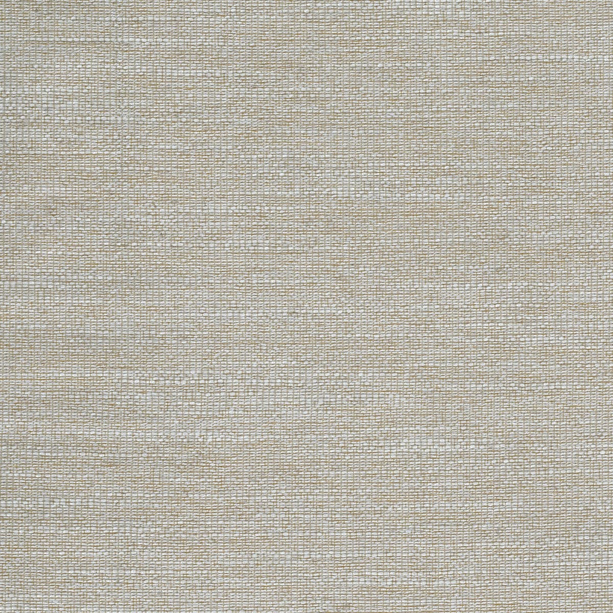 Rubelli Mundus fabric - Madreperla