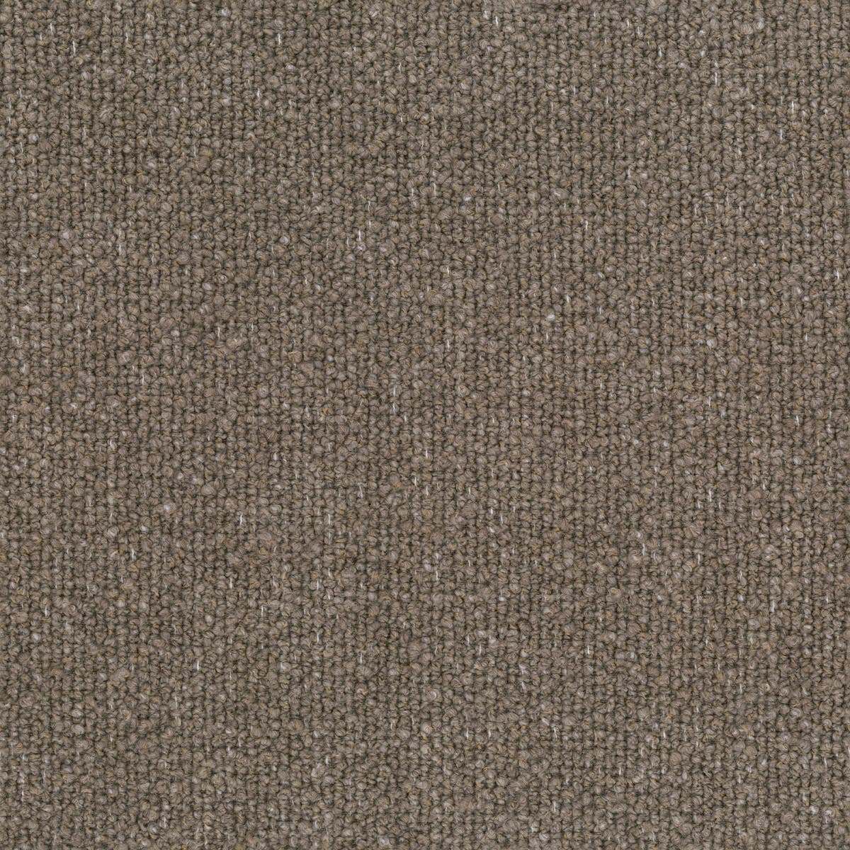 Rubelli Vellus fabric - Legno