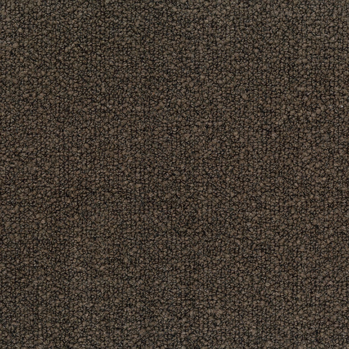 Rubelli Vellus fabric - Marrone