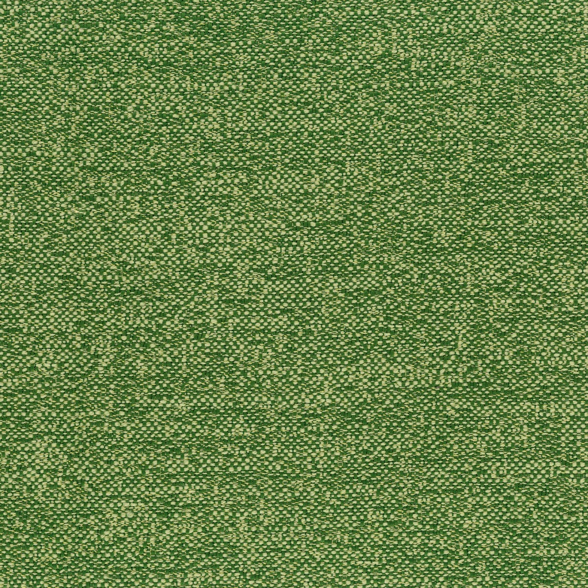 Rubelli Fabthirty+ fabric - Pino