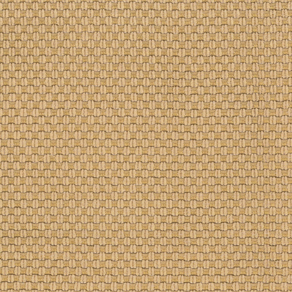 Rubelli Nexus Gold fabric - Oro