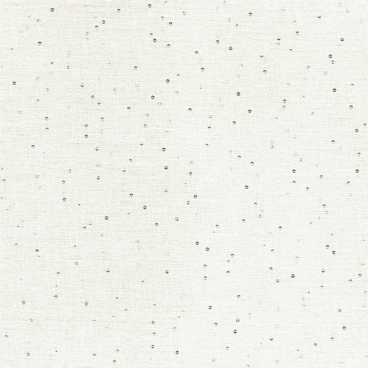 Rubelli Via Lattea fabric - Bianco