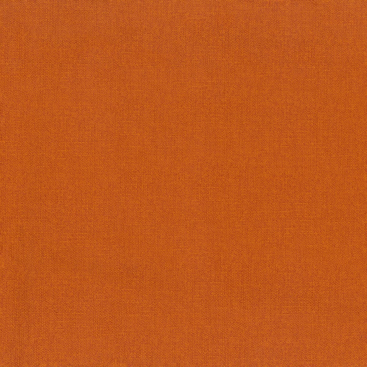 Rubelli Jazz Club fabric - Cotto