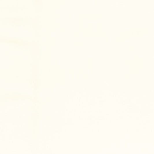 Rubelli Napier fabric - White