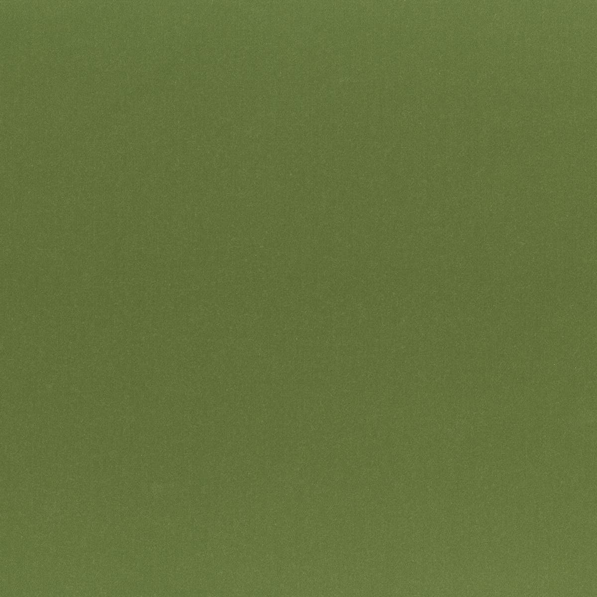 Rubelli Napier fabric - Olive