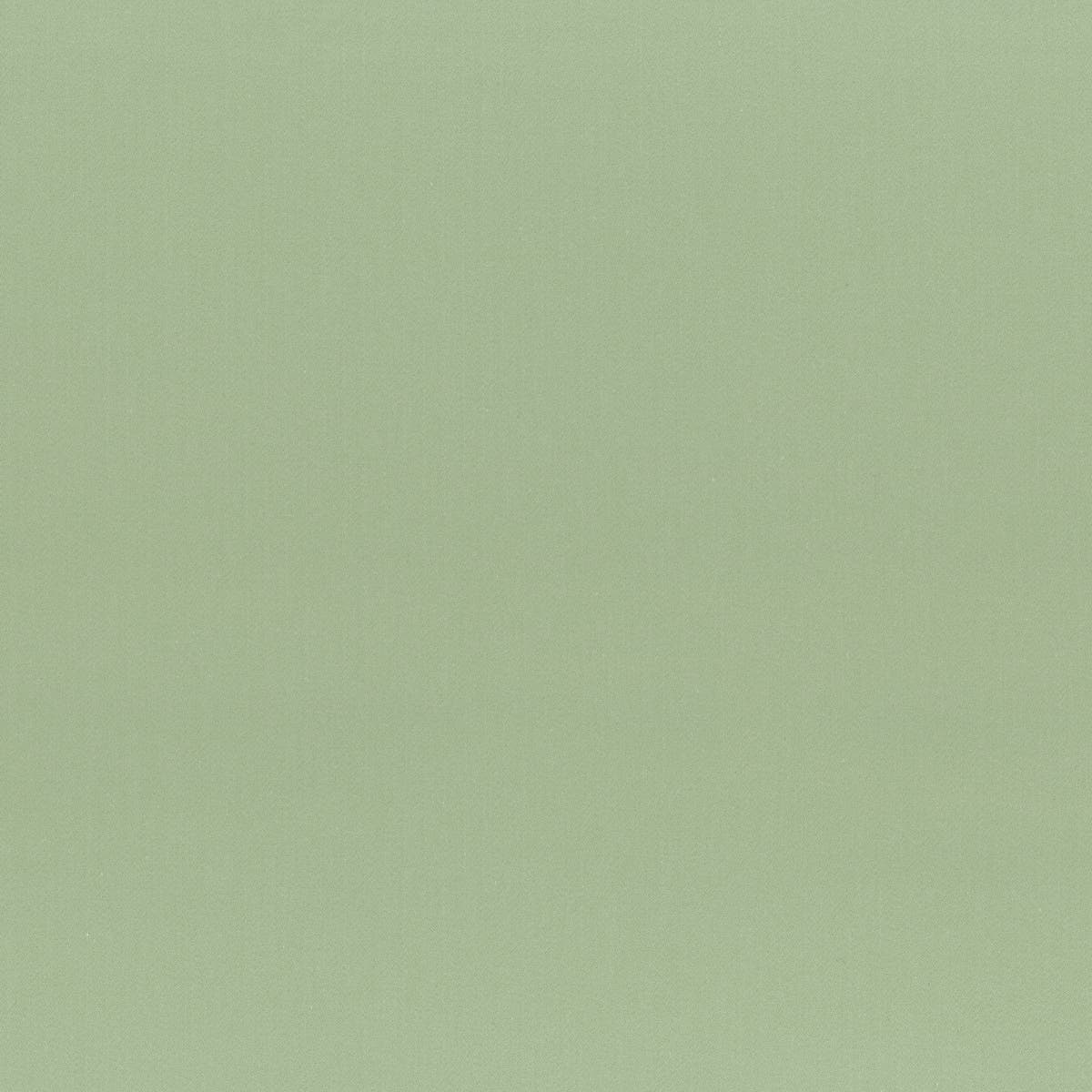 Rubelli Napier fabric - Pistachio