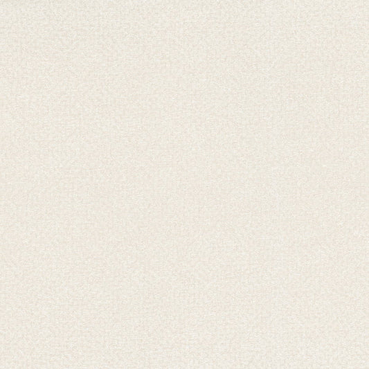 Rubelli Glassweave fabric - Avorio