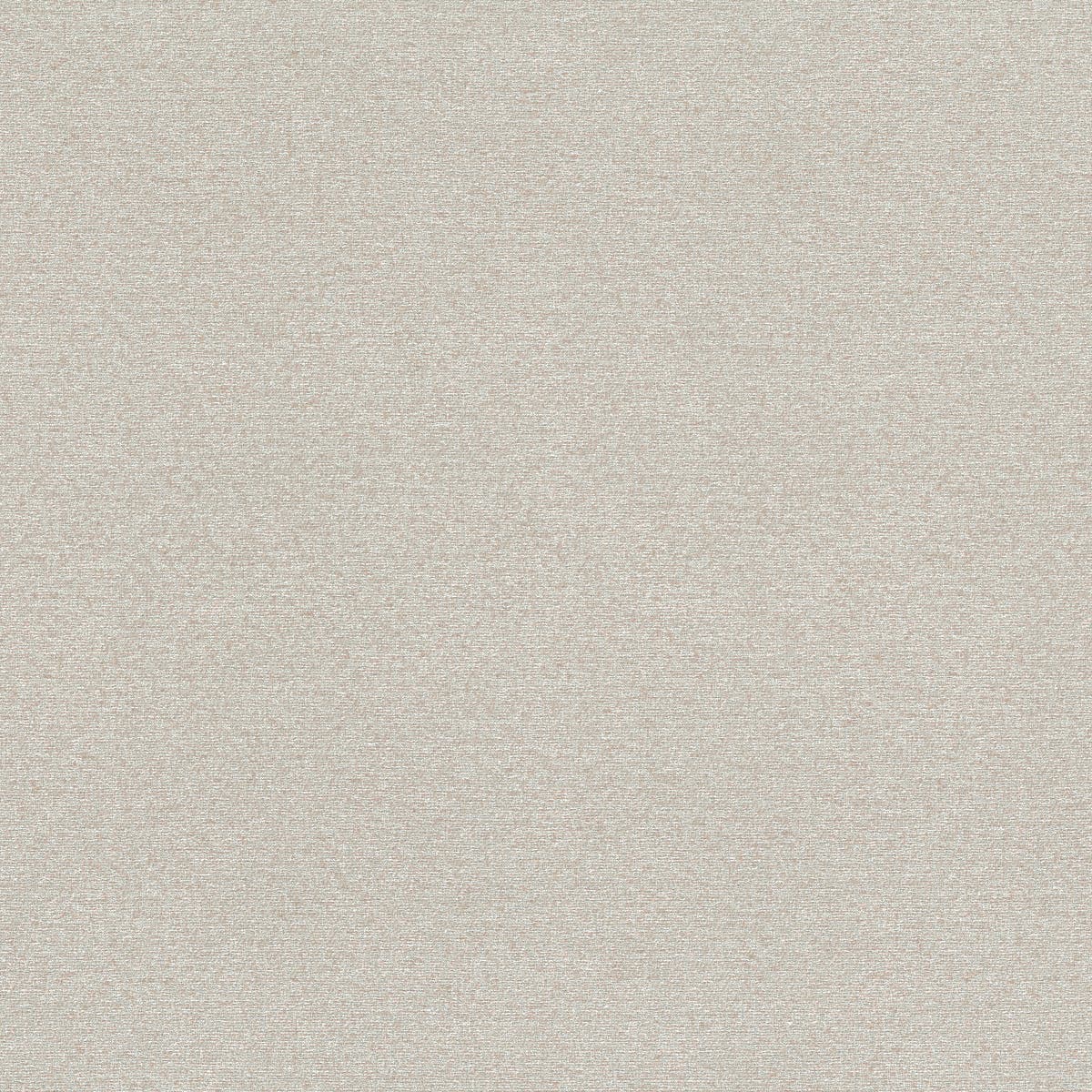 Rubelli Glassweave fabric - Polvere