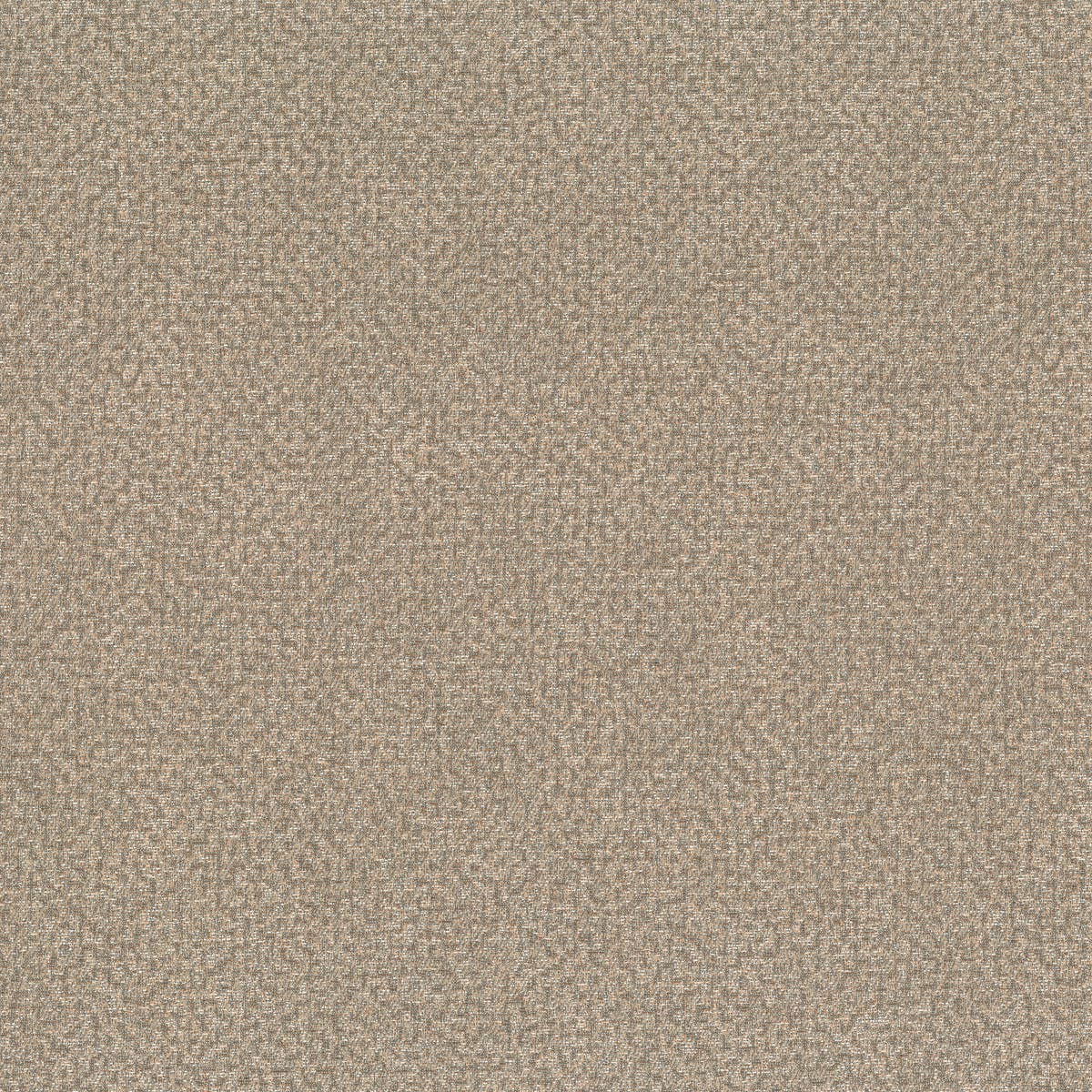 Rubelli Glassweave fabric - Talpa