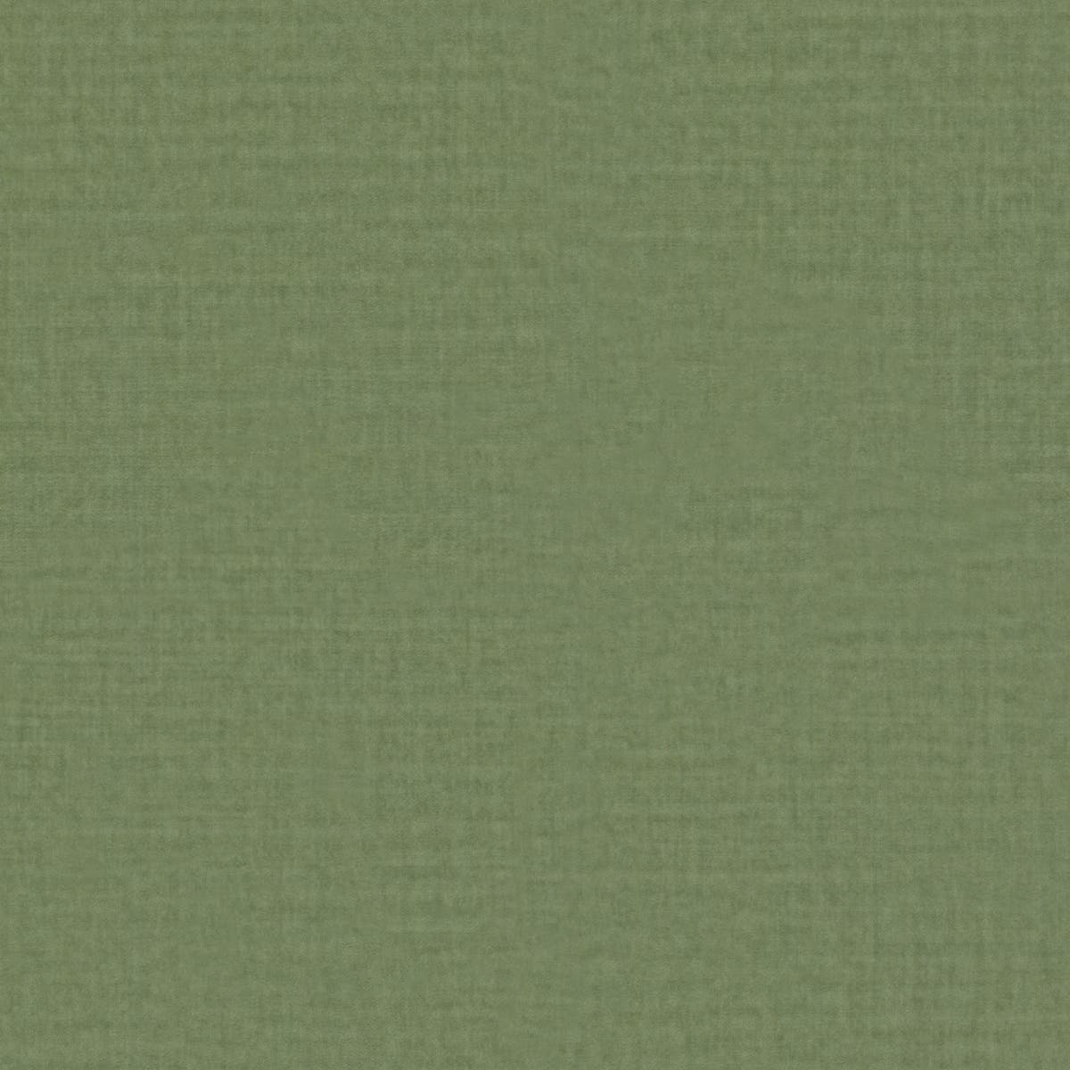 Rubelli Shadow fabric - Lichene