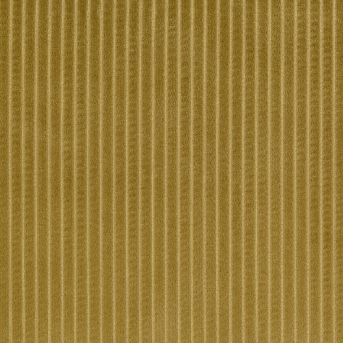 Rubelli Dandy fabric - Oro