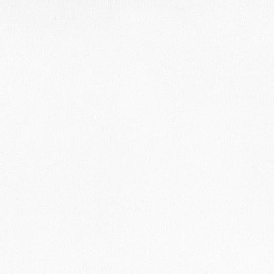 Rubelli Twilight fabric - Bianco