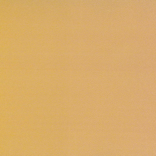 Rubelli Ombre’ fabric - Sunshine
