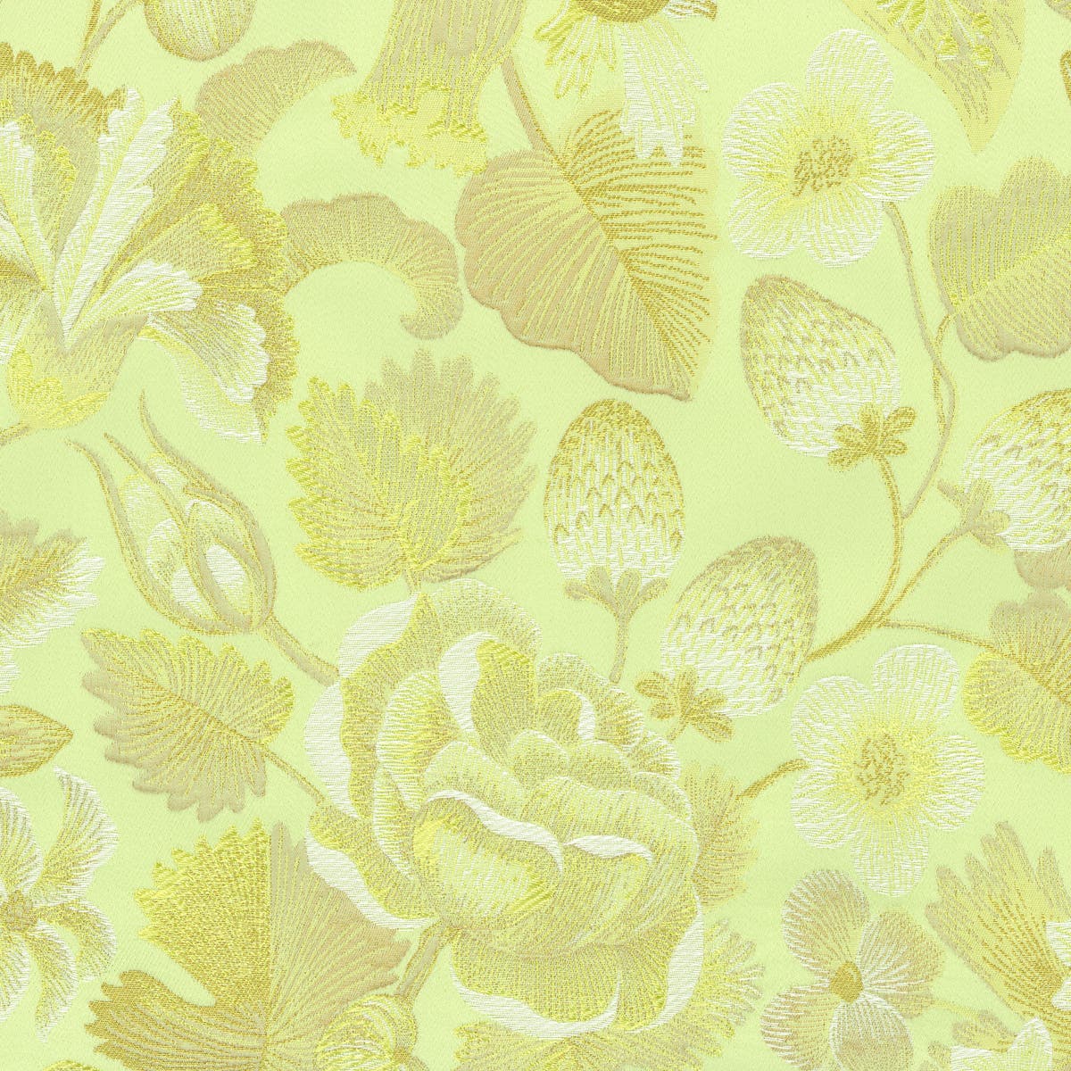 Rubelli Royal Botanica fabric - Lime